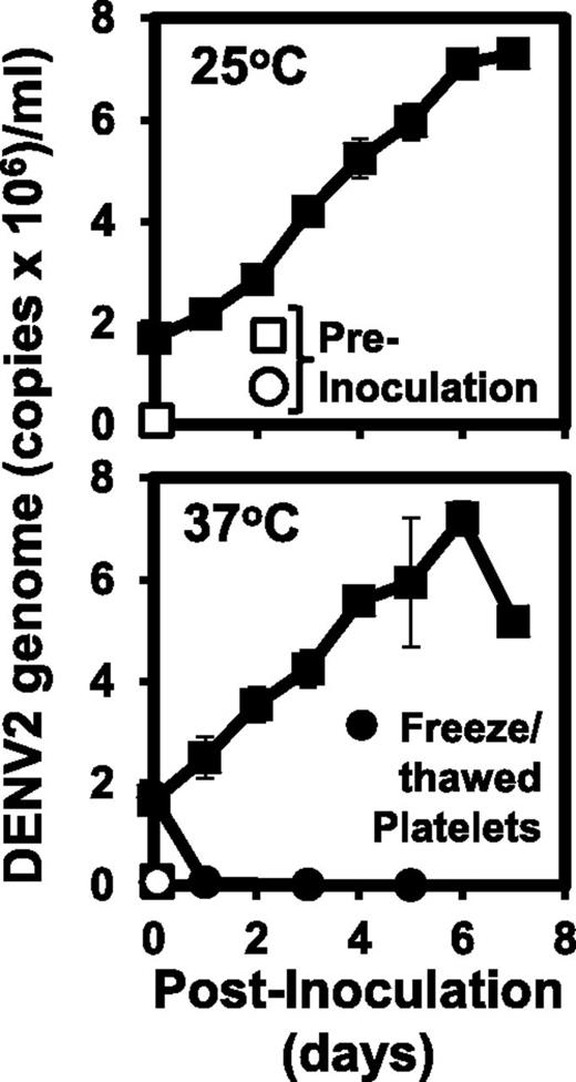 Figure 4. Platelet-dependent replication of the Dengue virus genome. Intact platelets (squares) or platelets subjected to 3 cycles of freeze-thaw at −80°C (circles) (5 × 105/mL) were incubated with DENV2 (5 × 106 virus particles/mL) for 1 hour. After washing 3 times and resuspending the platelets in serum-free M199, the pellets were cultured at 25°C or 37°C with daily medium changes. Viral genome RNA was quantified by qRT-PCR on the indicated day. Preinoculation (open symbols) is shown on day zero (n = 3, ±SD smaller than the size of symbols).