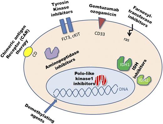 Figure 2. The candidate targets in AML. cKIT, c-kit receptor tyrosine kinase; IDH, isocitrate dehydrogenase; ras, rat sarcoma.