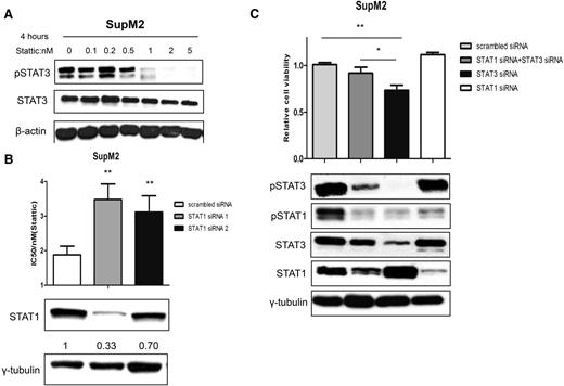 Figure 7. siRNA knockdown of STAT1 confers resistance to STAT3 inhibition-induced cell death. (A) SupM2 cells were exposed to various doses of Stattic for 4 hours, and western blots showed the decrease of pSTAT3 in a dose-dependent manner. (B) SupM2 cells transfected with two species of STAT1 siRNA showed significantly higher half maximal inhibitory concentration (IC50) to Stattic compared with cells transfected with scrambled siRNA. Western blot studies showed the siRNA knockdown efficiency, which was higher with species 1 compared with species 2. The densitometry values shown were normalized to the band of γ-tubulin. (C) Transfection of STAT1 siRNA significantly reduced the suppression of cell growth induced by STAT3 siRNA in SupM2 cells. The western blots results showed the efficiency of siRNA knockdowns. Image J software was used to analyze the densitometry value of western blots bands. Statistical significance was calculated by Student t test. *P < .05; **P < .01.