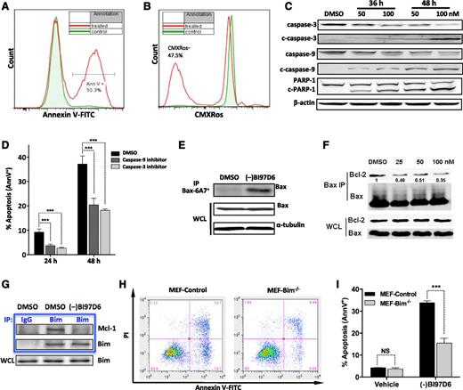 Figure 1. (–)BI97D6 induces multiple hallmarks of mitochondrial apoptosis. (A-B) Phosphatidylserine externalization as determined by (A) Annexin V (AnnV) staining and (B) loss of mitochondrial membrane potential as measured by CMXRos assay in OCI-AML3 cells after 48-hour treatment with 50 nM (–)BI97D6. (C) Cleavage of caspase-3, caspase-9, and PARP-1 in OCI-AML3 cells after (–)BI97D6 treatment of 36 or 48 hours. (D) Apoptosis induction (AnnV+) by 50 nM (–)BI97D6 in OCI-AML3 cells pretreated with a caspase-3 or -9 inhibitor for 2 hours. ***P < .001. (E) Bax conformational change as measured by immunoprecipitation (IP) with an anti-Bax 6A7 monoclonal antibody. OCI-AML3 cells were treated with 100 nM (–)BI97D6 for 24 hours. WCL, whole cell lysate. (F) Disruption of Bcl-2/Bax association by (–)BI97D6 as shown by Bax/Bcl-2 co-IP. Bax was immunoprecipitated from OCI-AML3 cells following (–)BI97D6 treatment of 24 hours. (G) Disruption of Mcl-1/Bim association by (–)BI97D6. Bim was immunoprecipitated from OCI-AML3 cells treated with 100 nM (–)BI97D6 or vehicle for 24 hours. (H-I) Bim deficiency reduced apoptosis induction by (–)BI97D6. (H) Representative flow cytometry plots of MEF control and Bim−/− cells following treatment with 300 nM (–)BI97D6 for 48 hours. (I) Apoptosis induction as measured by AnnV/PI flow cytometry after 48-hour treatment with 300 nM (–)BI97D6.