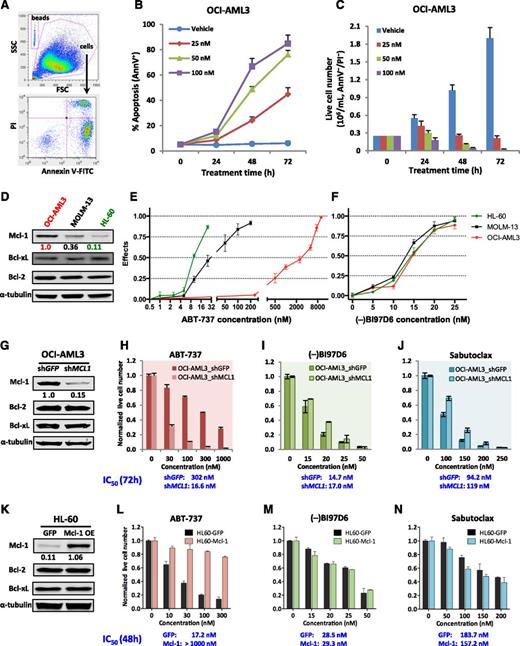 Figure 2. (–)BI97D6 effectively induces apoptosis in AML cells regardless of high expression of Mcl-1. (A) Representative FACS plots showing gating strategy and apoptosis induction by (–)BI97D6 in OCI-AML3 cells. (B-C) Time- and dose-dependent (B) induction of apoptosis and (C) reduction of live cell numbers of OCI-AML3 cells after (–)BI97D6 treatment. (D) Mcl-1 expression in 3 AML cell lines as determined by immunoblot densitometry using the Odyssey Infrared Imaging System. α-Tubulin served as loading control. The ratio of Mcl-1/α-tubulin was normalized to that of untreated OCI-AML3 cells. (E-F) The effects of (E) ABT-737 and (F) (–)BI97D6 on 3 AML cell lines with low, intermediate, or high expression of Mcl-1 protein. Effect = 1 – live cell numbertreated/live cell numbercontrol. (G) Immunoblot showing stable Mcl-1 knockdown by lentiviral shRNA in OCI-AML3 cells. (H-J) Comparison of the sensitivities of OCI-AML3 shGFP and shMCL1 cells to ABT-737, (–)BI97D6, and Sabutoclax. The cells were treated with indicated concentrations for 72 hours. (K) Immunoblot showing stable Mcl-1 overexpression in HL-60 cells. (L-N) Comparison of the sensitivities of HL60-GFP and HL60-Mcl-1 overexpressing cells to ABT-737, (–)BI97D6, and Sabutoclax. The cells were treated for 48 hours. The live cell numbers were enumerated by FACS analysis using CountBright counting beads and normalized to those of untreated controls. Calcusyn software was used to calculate the IC50 values based on live cell numbers. All data in line/bar graphs represent the means of triplicate experiments, with error bars indicating the standard deviations.