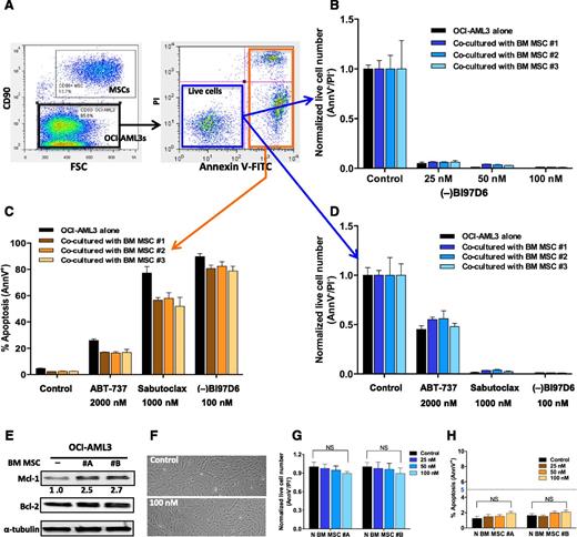 Figure 3. BM MSC coculture increases Mcl-1 protein level in OCI-AML3 cells and Mcl-1 inhibition by the pan–Bcl-2 inhibitor (–)BI97D6 abrogates BM MSC-mediated protection. (A) Representative FACS plots showing the gating strategy used to determine apoptosis and viability of OCI-AML3 cells cocultured with BM MSCs. (B) Viability of OCI-AML3 cells following treatment with increasing concentrations of (–)BI97D6 for 72 hours, with or without coculture with protective MSCs. The live cell number (AnnV−/PI−) was enumerated by FACS analysis using CountBright counting beads and normalized to the counts of untreated controls. (C) Apoptosis (AnnV+) as assessed by FACS in OCI-AML3 cells after incubation with indicated compounds for 72 hours; cells were cultured alone or cocultured with protective MSCs. (D) Live cell numbers after incubation with indicated compounds for 72 hours. The methodology is as described in B. Both Sabutoclax and (–)BI97D6 effectively killed OCI-AML3 cells cocultured with BM MSCs. (E) Coculture with BM MSCs for 24 hours significantly increased Mcl-1 protein level in OCI-AML3 cells. (F-H) (–)BI97D6 (100 nM) had minimal effects on BM MSC (F) morphology, (G) proliferation, and (H) viability. NS, not significant. All data in bar graphs represent the means of triplicate experiments, with error bars indicating the standard deviations.