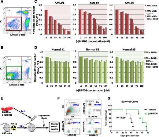 Figure 5. Pan–Bcl-2 inhibition by (–)BI97D6 potently kills leukemia stem/progenitor cells at doses sparing normal hematopoietic stem/progenitor cells. (A-B) Representative FACS plots of (A) AML blast cells or (B) normal MNCs following treatment with 100 nM of (–)BI97D6 for 48 hours. (C-D) Change in live cell numbers (AnnV−/PI−) as a function of (–)BI97D6 concentration. Fresh AML or normal MNCs were isolated and treated with indicated doses of (–)BI97D6 for 48 hours. Live cell numbers were enumerated and normalized to untreated controls. (E) Diagram showing the experimental design. AML patient cells (1.0 × 106) were intravenously injected into NSG mice following 24-hour incubation with 100 nM (–)BI97D6 or DMSO (vehicle). (F) Representative FACS plots showing engraftment of human AML cells in mouse peripheral blood 6 weeks after injection. (–)BI97D6 pretreatment significantly reduced engraftment/progression of AML patient cells. (G) Kaplan-Meier survival curves for the mouse experiment described in E (5 mice per arm).