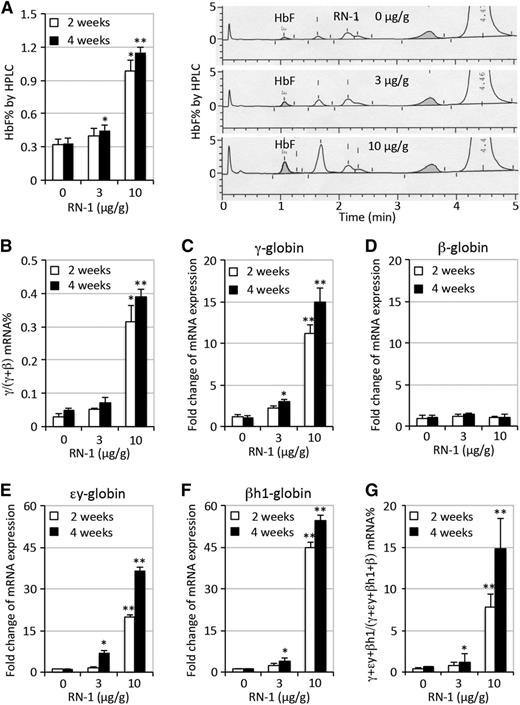 Figure 1. Induction of HbF in SCD mice treated with RN-1. (A) Quantification of HbF by HPLC as a fraction of total hemoglobin in SCD mice either treated or untreated with RN-1 for 2 or 4 weeks (left panel); representative HPLC chromatograms depicting HbF abundance (shaded area) after 4 weeks RN-1 treatment (right panel). Other unmarked induced peaks may represent admixtures of murine embryonic εy and/or βh1 tetrameric hemoglobins (see below). (B) QRT-PCR quantification of γ-globin mRNA abundance as a fraction of the total of γ- plus β-globin mRNAs in SCD mice with or without RN-1 treatment of 2 and 4 weeks. (C-F) Fold change in the relative abundance of γ-globin mRNAs, normalized to the erythroid differentiation-invariant housekeeping mRNA, Oaz1, respectively.39 (G) QRT-PCR quantification of γ-, εy-, and βh1-globin mRNA abundance as a fraction of the total (γ-, εy- and βh1- plus β-globin mRNAs) in SCD mice with or without RN-1 treatment of 2 or 4 weeks. Statistically significant differences between RN-1–treated and untreated SCD mice are indicated (*P < .05; **P < .01). The bar graph data are presented as mean ± standard deviation (SD) (n = 4-6 mice per group).