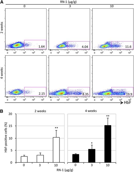 Figure 2. Flow cytometric analysis of HbF synthesis in circulating RN-1–treated RBCs. (A) Whole blood from SCD mice was stained with anti-human HbF antibody. The number in the rectangle of each representative sample shows the percentage of HbF-high cells within the total. (B) Statistical analysis of the percentage of HbF-high cells by flow cytometry averaged over all samples. Statistically significant differences between RN-1–treated and untreated SCD mice are indicated (*P < .05; **P < .01). Bar graph data are presented as the mean ± SD (n = 4-6 mice per group).