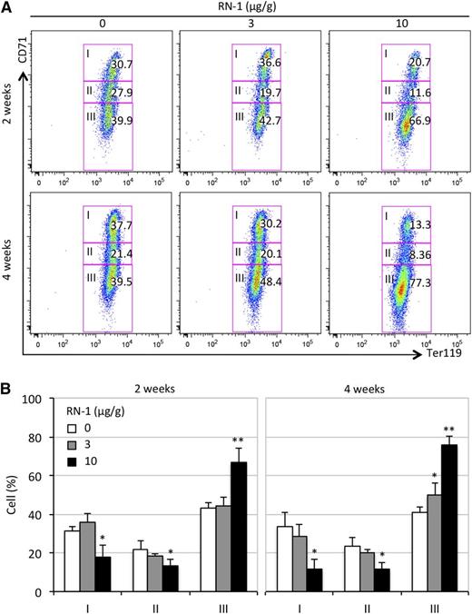 Figure 4. Flow cytometric assessment of erythroid cell differentiation in SCD mice treated with RN-1. (A) Peripheral blood cells were stained with anti-mouse CD71 and Ter119 antibodies to assess the erythroid differentiation profiles of RBCs in RN-1–treated or untreated SCD mice. Stained cells were sorted into 3 stages (I, immature; II, maturing; III, mature).40 The numbers in each rectangle represent the fractional percentages of cells at that developmental stage. (B) Statistically significant differences between differentiation stages of erythroid cells are indicated in comparing RN-1–treated or untreated SCD mice; data are presented as mean ± SD, n = 4-6 mice per group (*P < .05; **P < .01).
