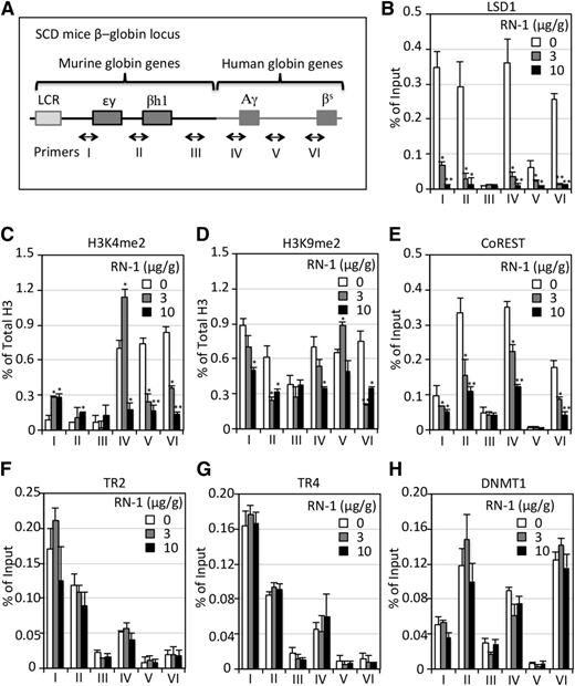 Figure 6. ChIP analysis of epigenetic cofactor binding across the β-globin locus in SCD mice before and after RN-1 treatment. (A) Schematic diagram of the β-globin locus in SCD mice. A 9.7-kb DNA fragment containing the human Aγ-globin gene and human sickle β-globin (βS) gene replaced the mouse βmajor- and βminor-globin genes.33 Primers were designed to amplify discrete regions across the β-globin locus, including (I) the εy-globin promoter DR site, (II) the βh1-globin promoter DR site, (III) the βmajor-globin upstream 5.9 kbp (presumptive negative control, (IV) the Aγ-globin promoter DR site, (V) a +3-kb region downstream of the Aγ-globin gene, and (VI) the β-globin promoter CAAT box (precise positions of the primer pairs used for these assays are given in supplemental Table 1). (B-H) ChIP analyses of LSD1, H3K4me2, H3K9me2, CoREST, TR2, TR4, and DNMT1 binding to each region of the β-globin locus (A) in BM cells of SCD mice before or after RN-1 treatment. The level of H3K4me2 and H3K9me2 is normalized to the fraction of total histone 3, whereas the level of all other proteins is normalized to control IgG. Data are presented as mean ± SD (n = 4-6 mice per group) (*P < .05; **P < .01 vs untreated SCD mice).