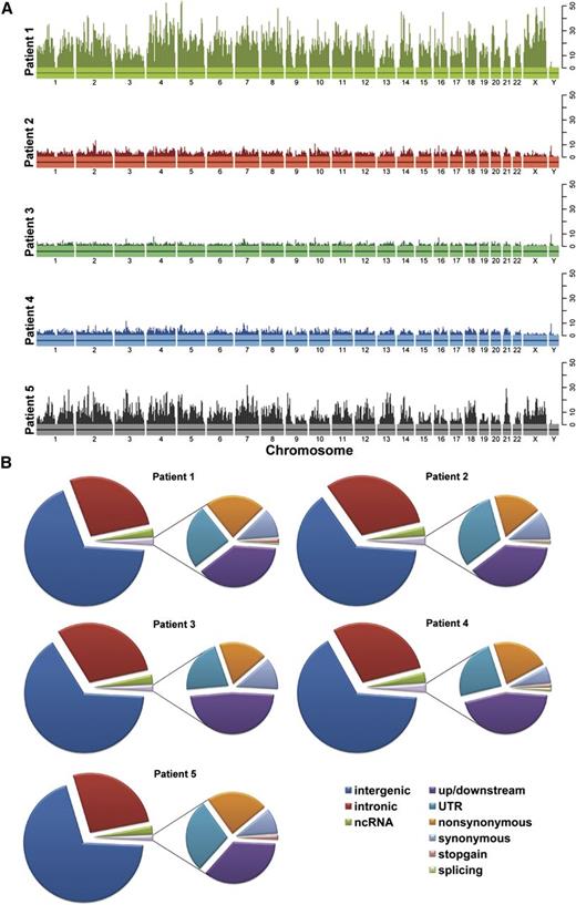 Figure 1. Mutation profiles of patient tumors subjected to WGS. (A) Each patient is plotted with a unique color. The vertical bars indicate the number of predicted, somatic SNVs in a 5-Mb window. (B) Pie charts of functional categories of the predicted somatic SNVs. For each patient, the left pie chart depicts the proportion of somatic mutations in categories based on their genomic location, including intergenic, intronic, ncRNA, and exonic SNVs. The right chart shows the breakdown of different mutation types in coding regions, including upstream/downstream, UTR, nonsynonymous, synonymous, stop-gain SNVs, and SNVs located in splicing sites. Only SNVs not included in dbSNP (build 131) or the 1000 Genome Project (November 2010) are shown. ncRNA, noncoding RNA; UTR, untranslated region.