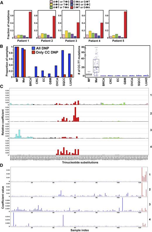Figure 2. Mutations in MF appear to have a UV signature. (A) Frequency of different mutation classes in each MF patient. (B) Samples with any DNP and with mutations that specifically change CC in different cancer types (left). The number of CC:GG to TT:AA mutations in the coding regions of each cancer type (right). BRCA: breast cancer, n = 507; CRC: colon and rectal cancer, n = 224; EC: endometrial carcinoma, n = 248; GBM: glioblastoma, n = 290; LUAD: lung adenocarcinoma, n = 182; Mel: melanoma, n = 121; OVCA: ovarian carcinoma, n = 316; SQCC: squamous cell lung cancer, n = 177. (C) Four mutation signatures of MF and melanoma tumors. Each color denotes 1 of the 6 possible trinucleotide mutations. The y-axis denotes the relative coefficient of each substitution to the corresponding signature. (D) Coefficient of each MF (red) and melanoma (blue) tumor for each signature. The sample index for melanoma is x = 1:121 and MF is x = 122:126. A higher coefficient indicates a higher contribution of the corresponding signature in the sample. Only SNVs not in dbSNP (build 131) or the 1000 Genome Project (November 2010) were included.