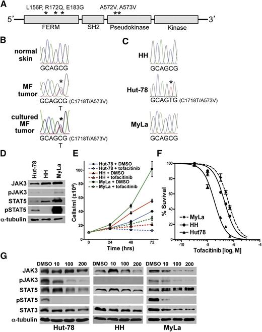 Figure 5. Activating JAK3 mutation identified in MF tumor and CTCL cell line. (A) JAK3 schematic with functional domains denoted. Activating JAK3 mutations previously reported and identified in this study marked with asterisks. (B) Chromatographs of Sanger sequencing of normal and tumor DNA from patient 1. The C1718T transition is detected in the tumor sample only. (C) Sequencing of CTCL cell lines showing the C1718T transition in Hut-78 cells. (D) western blots of JAK3 and proteins in its downstream pathway in CTCL cell lines; phosphorylated JAK3 (pJAK3) phosphorylated STAT5 (pSTAT5). (E) Viable cell numbers of CTCL cell lines at intervals following addition of 200 nM tofacitinib. (F-G) CTCL cell lines subjected to MTS assay (tofacitinib 1, 10, 100, 250, and 500 nM) (F) and western blot (tofacitinib 10, 100, 200 nM) (G) after 48 hours of treatment.