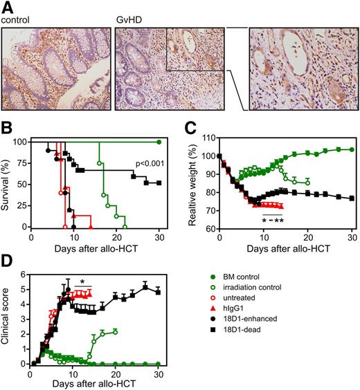Figure 1. An ADCC-defective variant of the anti-Fn14 monoclonal antibody (mAb) 18D reduces acute GVHD and prolongs survival after allo-HCT. (A) Increased expression of Fn14 in intestinal epithelial cells of GVHD patients. Sections of normal mucosa (left) and mucosa with GVHD associated changes (middle and right) were stained with an anti-Fn14 antibody (ITEM-4) (shown in brown). Representative results are shown. Original magnification ×200. Fn14-positive immune cells are present in the lamina propria of both sample types, whereas Fn14-positive epithelial cells are only observed in GVHD samples. (B-D) Balb/c (H-2d) mice were myeloablatively irradiated and transplanted with 5 × 106 B6 (H-2b) BM cells and 1 × 106 enriched B6.L2G85.CD90.1 (H-2b) T cells. Starting on day 1 posttransplantation, mice were treated daily with 100 µg of 18D1-dead, 18D1-enhanced, or an irrelevant hIgG1 control antibody. Shown are combined data from 3 independent experiments (18D1-dead: n = 20; 18D1-enhanced: n = 10; and hIgG1: n = 20). To control the efficacy of the myeloablative conditioning (irradiation only) and BM engraftment (BM control), mice were irradiated without transplantation or were irradiated and only transplanted with B6 (H-2b) BM cells. (B) Survival of allo-HCT recipients. (C) Mice were weighed at the indicated times after allo-HCT. Weight measurements are shown in percent of initial weight. (D) Mice were assessed for clinical signs of GVHD at the indicated time points. Mean ± SEM. *P ≤ .05; **P ≤ .01 (hIgG1 vs 18D1-dead).