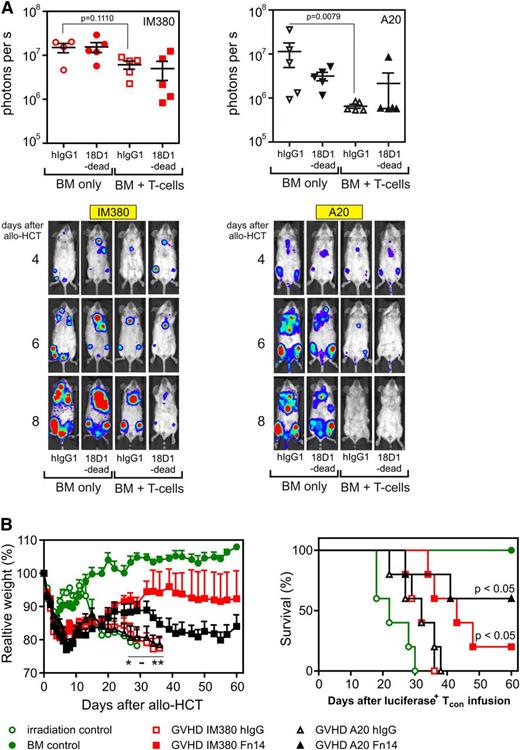 Figure 4. Treatment of allo-HCT recipients with the ADCC-defective anti-Fn14 mAb variant 18D1-dead delays the onset of acute GVHD while maintaining GVL effects. The effect of 18D1-dead on GVL activity was investigated in IM380 and A20 B-cell lymphoma models. Balb/c (H-2d) mice were either injected with 105 syngenic, luciferase-transgenic IM380 B-cell lymphoma cells iv 6 days before allo-HCT or with 105 syngenic, luciferase-transgenic A20 cells along with allogeneic 5 × 106 B6 (H-2b) BM cells alone or together with 1 × 106 enriched B6 (H-2b) T cells. Starting on day 1 post–allo-HCT, mice were treated daily for a week with 100 µg of 18D1-dead or with 100 µg of an irrelevant hIgG1 mAb (n = 5 for each group). (A) In vivo bioluminescence imaging of luciferase+ lymphoma cells of a representative mouse of the indicated groups. Upper panels represent data at 8 days after transplantation; lower panels show images of a representative mouse of each group throughout the first 8 days of the experiment. (B) Survival analysis of allo-HCT recipients (right panel). Data from both GVL models are displayed, along with data from mice of the myeloablative conditioning control (irradiation only) and the BM engraftment control (BM control). Weight change after allo-HCT in percent of the initial weight (left panel). Statistics of hIgG1 vs 18D1-dead are indicated: mean ± SEM. *P ≤ .05; **P ≤ .01.