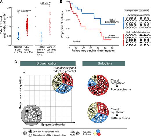 Figure 4. Model of clonal diversification and selection in CLL. (A) Locally disordered DNA methylation is higher in CLL and cancer tissues compared with normal tissues, including B cells (adapted from Landau et al18); (B) Adverse impact of locally disordered DNA methylation on failure-free survival18; (C) Clonal diversification may result from synergic effects of disordered DNA methylation and genomic instability (left). Clonal selection related to therapeutic and microenvironment pressure shapes the subclonal composition that ranges from clonal equilibrium to clonal competition (right). High level of clonal diversification could lead to the emergence of fitter subclones competing within CLL bulk and is responsible for more aggressive/resistant disease associated with poor survival.