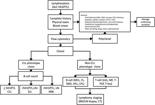 Figure 1. General approach to the workup of lymphocytosis. BM, bone marrow; CMV, cytomegalovirus; CTD, connective tissue disease; EBV, Epstein-Barr virus; FL, follicular lymphoma; HCL, hairy cell leukemia; HTLV, human T-lymphotropic virus; LGL, large-granular leukemia; LN, lymph nodes; LPL, lymphoplasmacytic lymphoma; MCL, mantle cell lymphoma; MF, mycosis fungoides; T-PLP, T prolymphocytic leukemia; SMZ, splenic marginal zone lymphoma; T-leu, T-cell leukemia; VZV, varicella zoster virus.