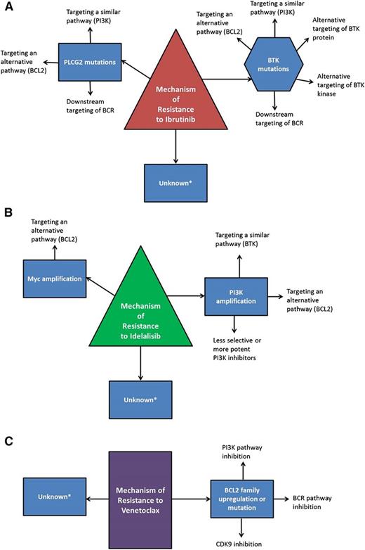 Figure 1. Mechanisms of resistance to targeted therapies and potential bypass strategies. Known and hypothesized mechanisms of resistance to ibrutinib (A), idelalisib (B), and venetoclax (C) are outlined along with potential mechanisms to overcome resistance. *Unknown mechanisms which may have the potential to respond to other targeted therapies or chemoimmunotherapies, but may also be considered for salvage with reduced-intensity allogeneic stem cell transplantation or CAR T-cell therapies.