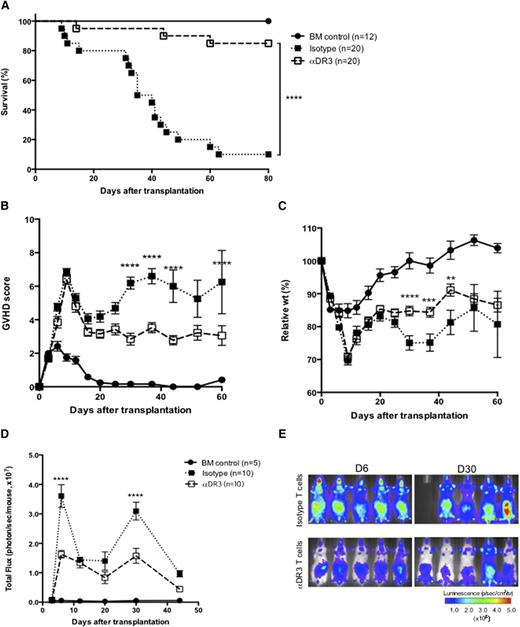 Figure 3. Donor treatment with αDR3 reduces GVHD mortality and alloreactive T-cell expansion after BMT. T cells were isolated from luc+ CD45.1+ C57BL/6 donors that were treated with αDR3 vs isotype mAb. Wild-type Balb/c recipients were lethally irradiated and transplanted with 1 × 106 T cells and 5 × 106 TCD-BM cells. Survival (A), GVHD score (B), and the relative weights (C) of recipient mice were assessed. Results are combined from 3 independent experiments. Survival (A) curves were compared by the log-rank test (****P < .0001). GVHD scores (B) and the relative weights (C) were compared by multiple Student t tests with Holm-Sidak correction (**P < .01, ***P < .001, ****P < .0001). (D) The bioluminescence signal from donor T cells on days 3, 6, 12, 20, 30, and 44 after BMT are analyzed. The total photon flux from either group (αDR3 vs isotype mAb–treated T cells) are compared by multiple Student t tests with Holm-Sidak correction (****P < .0001). The data were derived from 3 independent experiments. (E) Representative images of recipient mice on days 6 and 30 are shown.