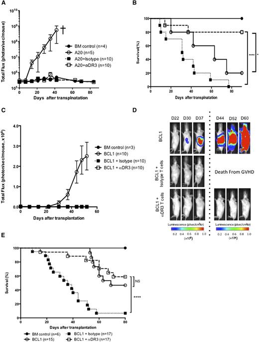 Figure 7. T cells from αDR3-treated donors retained function. (A-B) Lethally irradiated Balb/c recipients were intravenously injected with 2 × 104 luc+/gfp+-A20 mouse lymphoma cells together with TCD-BM (5 × 106) and isotype/αDR3-treated T cells (1 × 106) on day 0. Tumor burden (A) was monitored by BLI at indicated time points and survival (B) was monitored (*P < .05, ****P < .0001). Representative results of 2 independent experiments are shown. (C-E) Balb/c recipients were injected IV with 2 × 104 luc+/gfp+-BCL1 cells on day −8 and tumor engraftment was confirmed on day −1. TCD-BM (5 × 106) and isotype/αDR3-treated T cells (1 × 106) were injected into lethally irradiated recipient mice with tumor. (C-D) Tumor burden was monitored by BLI at indicated time points. Results are representative of 2 independent experiments. (E) Survival data of 2 independent experiments were combined. Survival curves were compared by the log-rank test (****P < .0001; NS, not significant).