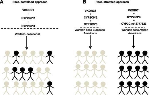The concept of race-combined approaches to warfarin pharmacogenetics compared with a race-stratified approach. (A) The race-combined approach assumes that the genetic variants included in the model will demonstrate equal effects on dosing requirements regardless of genetic ancestry. (B) The race-stratified approach illustrates the concept that genetic ancestry could influence the genetic predictors that are useful for warfarin pharmacogenetics in patient subpopulations.