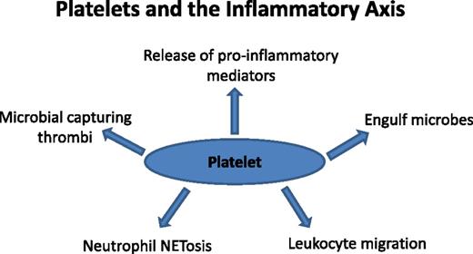 Figure 1. Platelets and the inflammatory axis. Shown and discussed in the text are circulating platelet properties that influence the inflammatory axis. Long studied for roles in hemostasis and thrombosis, platelets interact with granulocytes, vessel walls, and pathogens, positioning them to modulate the inflammatory response via both anti-inflammatory and proinflammatory mechanisms. Future studies must consider the state of platelet activation and how this affects the inflammatory response. Antiplatelet therapies traditionally considered only for cardiovascular disease treatment also can be evaluated for their effects on inflammation.