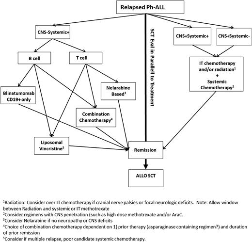 Figure 1. Treatment approach to an adult patient with relapsed Ph− ALL. Allo, allogeneic; AraC, cytarabine; CNS, central nervous system; IT, intrathecal.