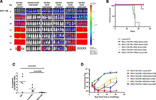 Figure 4. Short TSLPR CAR T cells demonstrate activity over a broad dose range and mediate durable eradication of TSLPRhi ALL at high leukemic burden. (A) Dose titration of short TSLPR CAR T cells given on day 3 after high-dose REH TSLPR ALL injection (5 × 106 cells/mouse). ACT, adoptive cell transfer. (B) Survival plot of mice treated in Figure 4A. (C) Flow cytometry of peripheral blood for the presence of CD45+ leukemia cells at day 12 after injection. (D) Quantitation of bioluminescence in mice treated in Figure 4A.
