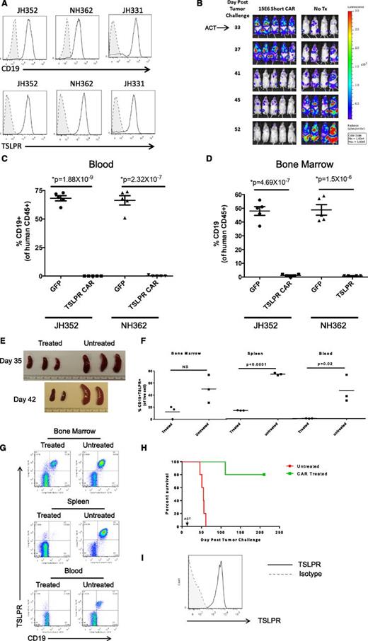 Figure 5. Leukemia eradication in human CRLF2-rearranged Ph-like ALL patient-derived xenograft models by short TSLPR CAR T cells. (A) Flow cytometric surface expression of CD19 and TSLPR in human ALL cells from TSLPRhi PDX models JH352, NH362, and JH331. Shaded histograms denoted by dotted lines represent unstained controls. (B) Complete eradication of leukemia in a TSLPRhi luciferase–expressing PDX model (JH331) by short TSLPR CAR T cells. ACT, adoptive cell transfer. (C-D) Analysis of human CD45+ CD19+ ALL cells in peripheral blood (C) and bone marrow (D) of TSLPRhi PDX models JH352 and NH362 injected with 1 × 106 ALL cells per mouse, then treated 22 days later with 15 × 106 short TSLPR CAR T cells. (E-G) Tissue analyses of an aggressive relapsed TSLPRhi ALL PDX model (ALL4364) treated with TSLPR CAR T cells. One million ALL cells per mouse were injected IV on day 1, then animals were treated with 1.2 million of TSLPR CAR+ T cells IV on day 14. (E) Spleens from short TSLPR CAR-treated and untreated mice on days 35 and 42 after leukemia injection (2 and 3 weeks after CAR injection). (F) Representative dot plot of bone marrow, spleen, and peripheral blood on day 35 after leukemia injection. (G) Scatter plots of organ and blood leukemia infiltration at day 35 after TSLPRhi ALL injection comparing short TSLPR CAR treated and untreated mice. (H) Separate experiment showing survival analysis demonstrating prolonged survival of TSLPR CAR T cell–treated ALL4364 PDX animals (n = 5/group). ACT, adoptive cell therapy. (I) Expression of TSLPR on human CD45+/CD19+ leukemia cells in the bone marrow of a mouse with relapse after short TSLPR CAR treatment.