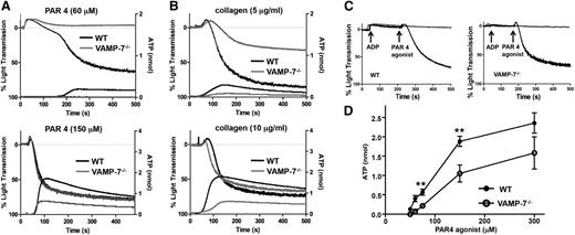 Figure 2. Dense granule release and platelet aggregation are impaired in VAMP-7−/− platelets. (A) Platelet aggregation (top tracings) and dense granule release (bottom tracings) were monitored in wild-type (black tracings) or VAMP-7−/− platelets (gray tracings) in response to either low concentrations (60 μM) or intermediate concentrations (150 μM) of AYPGKF. (B) Platelet aggregation (top tracings) and dense granule release (bottom tracings) were monitored in wild-type (black tracings) or VAMP-7−/− platelets (gray tracings) in response to either 5 μg/mL or 10 μg/mL collagen. (C) Wild-type (left) and VAMP-7−/− platelets (right) were incubated with a subthreshold concentration of ADP (2 μM) prior to stimulation with AYPGKF (60 μM). Exposure to ADP reverses the aggregation defect in VAMP-7−/− platelets (black tracings). Platelets exposed to ADP alone failed to aggregate (gray tracings). (D) Dense granule release was monitored in wild-type (●) and VAMP-7−/− (○) platelets in response to the indicated concentrations of AYPGKF (**P < .01; n = 3-5). ATP, adenosine triphosphate.