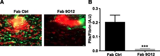 Figure 6. Fibrin-rich clots recruit circulating platelets in a GPVI-dependent manner. (A-B) In a first step, platelet-rich thrombi were formed in the capillary chambers by perfusing recalcified human whole blood containing Alexa Fluor 647–conjugated fibrinogen over an immobilized mixture of TF and collagen. In a second step, hirudinated blood containing platelets labeled with an Alexa Fluor 488–conjugated antibody (RAM.1) was perfused through the chambers for 5 minutes at 1500 s−1, in the presence of a control Fab or the anti-GPVI Fab 9O12. (A) Images are from 1 representative film in a total of 10. Bar, 20 µm. Fibrin is stained in red, platelets appear in orange, and platelets bound to fibrin in yellow. (B) A quantitative analysis was performed on images obtained after 5 minutes of perfusion and is presented as the ratio of the surface area of fibrin-associated platelets to the total fibrin surface area (n = 10). Mean ± SEM, ***P < .001, Student t test.
