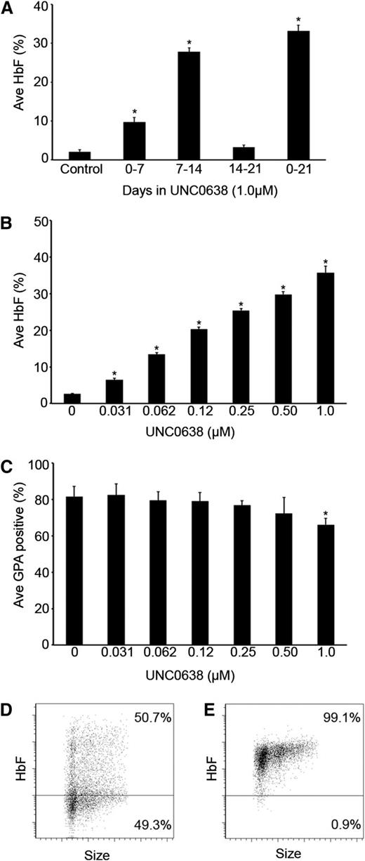 Figure 1. Inhibition of G9a methyltransferase activity by UNC0638 in adult human erythrocytes stimulates fetal hemoglobin production. (A) The percentage of HbF, relative to total hemoglobin (HbF + HbA), measured in culture day 21 control, phase 1, phase 2, phase 3, and phase 1-3 cells treated with 1.0 µM UNC0638. (B) The percentage of HbF, relative to total hemoglobin (HbF + HbA), in culture day 21 control and phase 2 cells treated with depicted concentrations of UNC0638. (C) Quantitative analysis of the percentage of GPA+ cells measured by fluorescence-activated cell sorter analysis of control and phase 2 cells treated with depicted concentrations of UNC0638 at culture day 14. Representative flow cytometric dot plots of (D) control cells and (E) 1.0 µM UNC0638 phase 2 treated cells at culture day 21 stained for fetal hemoglobin. In panels A-C, error bars indicate standard error of the mean (SEM); n = 3 independent donors for each condition. *Student t test values of P < .05 compared with control. Ave, average.
