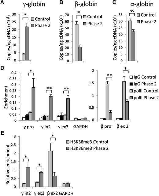 Figure 2. Inhibition of G9a results in upregulation of γ-globin and downregulation of β-globin genes expression. RT-qPCR analysis of (A) γ-globin, (B) β-globin, and (C) α-globin gene expression in control and phase 2–treated cells at culture day 14. (D) RNA PolII and (E) H3K36me3 occupancy at γ- and β-globin genes in control and phase 2–treated cells at culture day 14. Error bars indicate SEM; n = 3 independent donors for each condition. Student t test values of *P < .05 or **P < .01 compared with control. cDNA, complementary DNA; GAPDH, glyceraldehyde-3-phosphate dehydrogenase; IgG, immunoglobulin G.