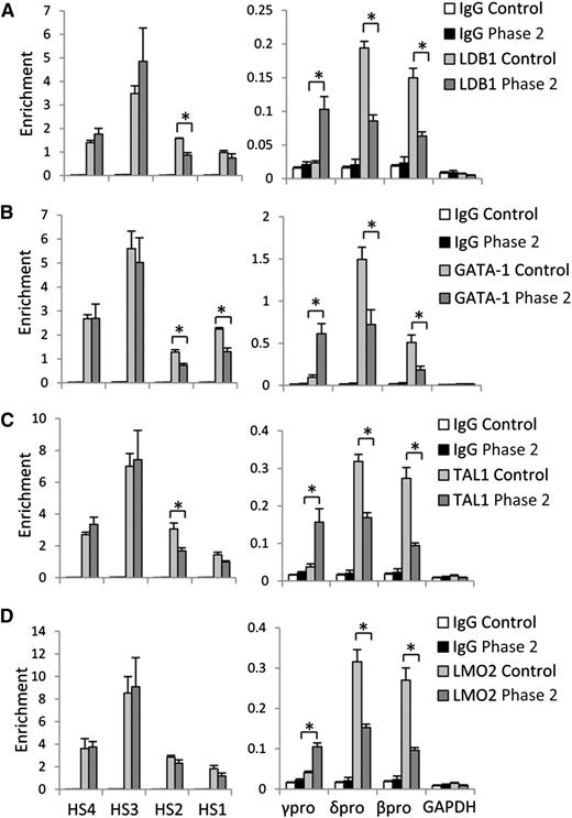 Figure 4. H3K9me2 protects γ-globin gene promoter from LDB1/GATA-1/TAL1/LMO2 protein complex occupancy. (A) LDB1, (B) GATA-1, (C) TAL1, and (D) LMO2 protein occupancy at LCR HS sites, and γ-, δ-, and β-globin gene promoters in control and phase 2–treated cells at culture day 14. Error bars indicate SEM; n = 3 independent donors for each condition. Values are compared with the value for control. *P < .05 by Student t test.