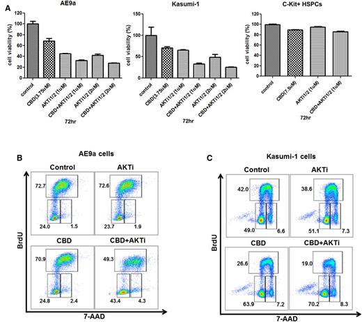 Figure 6. The combined effect of CBD and an AKT inhibitor on t(8;21) leukemia cell growth and cell cycle. (A) Growth inhibition of AE9a cells, Kasumi-1 cells, and C-Kit+ HSPCs treated at different concentrations of CBD or AKT inhibitor, alone or together, at 72 hours. Values represent the mean ± SD for 3 separate experiments. (B and C) Cell cycle analysis on AE9a and Kasumi-1 cells treated with CBD alone, AKT inhibitor alone, or both together at 24 hours. BrdU was added during the last hour of incubation. Cells were then processed for double staining with anti-BrdU–allophycocyanin (APC) and 7 amino actinomycin D (7-AAD) and analyzed by flow cytometry.
