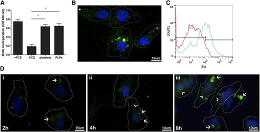 Figure 4. PLPs stimulate proliferation of and are internalized by HepG2 cells. (A) Activated platelets or PLPs were added to HepG2 cells and incubated under serum-free conditions. After 48 hours, cell proliferation rate was estimated by quantifying BrdU incorporation. *P < .05. Data represent the mean of 3 independent triplicate experiments. Error bars indicate SD. (B) PLPs (green) were labeled with CMFDA and were incubated under serum-free conditions for 4 hours with HepG2 cells. Original magnification ×400. Scale bar, 10 µm. (C) Quantification of EU incorporation into PLP RNA by flow cytometry. PLPs were generated from MEG01 cells that had been exposed to EU. EU in PLPs was visualized using Click-iT RNA Alexa Fluor 488. Histogram plot overlay shows control PLPs (red line) and PLPs generated from EU-treated MEG01 cells (blue line). (D) EU-labeled PLPs were incubated under serum-free conditions for 2, 4, or 8 hours with HepG2 cells. Dashed lines represent the HepG2 cell membrane. Structures resembling PLPs (arrows) as well as parts of the cytoplasm of the HepG2 cell are EU positive (green, arrowheads). Original magnification ×400. Scale bar, 10 µm.