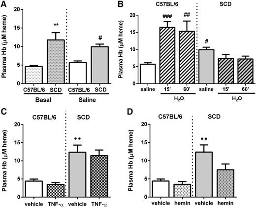 Figure 1. Administration of H2O, but not TNF-α or hemin, increases plasma Hb levels in C57BL/6 mice. Plasma Hb concentration in C57BL/6 or chimeric SCD mice (A) at baseline or 15 minutes after administration of saline (150 μL IV; n = 5 to 9 mice), (B) at 15 minutes after administration of saline or 15 and 60 minutes after administration of H2O (150 µL IV; n = 4 to 9 mice), (C) at 180 minutes after administration of TNF-α or vehicle (0.5 µg IP; n = 4 to 6 mice), and (D) at 120 minutes after administration of hemin or vehicle (40 µmol/kg IP; n = 3 to 6 mice). Plasma Hb is expressed as µM heme associated with Hb, assuming that Hb is tetramic. **P < .01 compared with basal C57BL/6; #P < .05, ##P < .01, and ###P < .001 compared with C57BL/6 plus saline; ●●P < .01 compared with vehicle (C57BL/6).