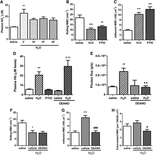 Figure 4. NO scavenging induces leukocyte recruitment, and NO donation reverses the systemic inflammation and leukocyte recruitment induced by H2O in C57BL/6 mice. (A) Plasma nitrate (NO3–) concentration in C57BL/6 mice at 2 to 30 minutes after administration of H2O (150 µL IV) or saline; n = 3 mice. WBC (B) rolling and (C) adhesion determined 15 minutes after administration of saline, H2O (150 µL IV), or PTIO (1.0 mg/kg IV); n = 34 to 48 venules from 4 to 6 mice. (D) Plasma Hb levels in C57BL/6 mice 15 minutes after receiving saline (150 µL IV), H2O (150 µL IV), PTIO (1.0 mg/kg IV), or DEANO (0.4 mg/kg IV) coadministered with either saline or H2O (150 µL IV); n = 3 to 11 mice. (E) Inflammatory status was analyzed by IVIS at 15 minutes after administration of H2O or saline (150 µL IV) in the presence or absence of DEANO (0.4 mg/kg IV; n = 3 to 6 mice). WBC (F) rolling, (G) adhesion, and (H) extravasation determined 15 minutes after coadministration of DEANO or vehicle (0.4 mg/kg IV) plus saline or H2O (150 µL IV) (n = 24 to 28 venules from 3 mice). *P < .05, **P < .01, and ***P < .001 compared with saline; ∞∞P < .01 compared with saline + DEANO; ●●P < .01 compared with H2O alone; #P < .05 and ###P < .001 compared with H2O + vehicle.