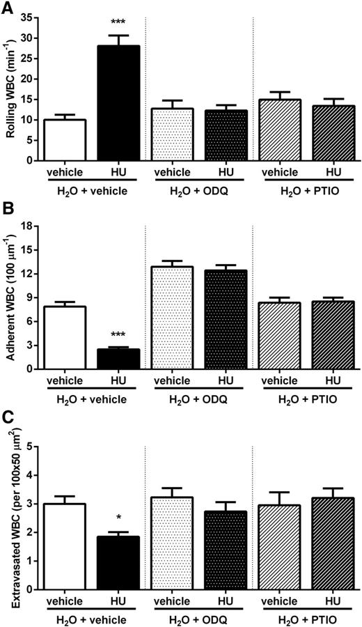Figure 6. HU exerts its effects via an NO/cGMP–dependent pathway. WBC (A) rolling, (B) adhesion, and (C) extravasation in H2O-treated C57BL/6 mice after administration of HU (250 mg/kg IV) or vehicle in the presence of ODQ (15 mg/kg IP) or PTIO (1 mg/kg IV) or vehicle. *P < .05 and ***P < .001 compared with vehicle. n = 22 to 33 venules from 3 to 4 mice.