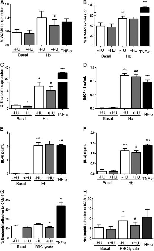 Figure 7. HU reverses the effects of Hb on endothelial cell activation and neutrophil adhesion in vitro. The expression of adhesion molecules on the HUVEC surface was determined by flow cytometry after incubation with 10 mg/mL Hb in the presence or absence of HU (100 µM) or vehicle for 4 hours. (A) VCAM-1 (anti-CD106-fluorescein isothiocyanate), (B) ICAM-1 (anti-CD54- phycoerythrin), and (C) E-selectin (anti-CD62E-allophycocyanin); n = 9 assays. Cytokines in HUVEC-conditioned culture medium were quantified by enzyme-linked immunosorbent assay; (D) MCP-1, (E) IL-6, and (F) IL-8; n = 4 to 14 assays. Adhesion of human neutrophils to ICAM-1 ligand (10 µg/mL) evaluated after incubation with autologous RBC lysate (Hb 1.5 mg/mL) in the presence or absence of HU (100 µM) (G) by static adhesion. After 5 minutes of treatment, neutrophil adhesion was quantified by using a colorimetric assay (n = 8 subjects), or (H) by using a microfluidic platform after 4 hours of treatment. For the microfluidic assay, neutrophil adhesion was quantified in a 400-µm-width channel with an applied shear stress of 0.5 dynes/cm2; data were analyzed by using a DucoCell analysis program, recording the mean number of neutrophils adhered to an area of 0.08 mm2 (n = 13 to 17 subjects). TNF-α (10 ng/mL) was used as a positive control. *P < .05, **P < .01, and ***P < .001 compared to basal without HU; #P < .05 and ##P < .01 compared with Hb or RBC lysate without HU.