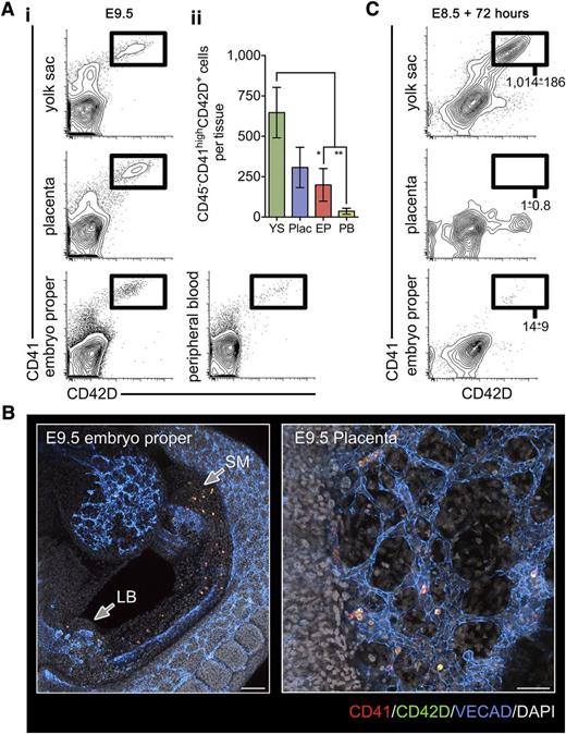 Figure 1. The early YS is the source of the first platelet forming cells in the early conceptus. (A) (i) Representative flow cytometry plots of the E9.5 YS, placenta, EP, and peripheral blood stained with markers for DPFCs: CD41 and CD42D. (ii) Quantification of absolute numbers of CD41highCD42D+ DPFCs in the E9.5 conceptus, demonstrating a significant enrichment of cells in the YS and placenta (Plac). *P < .05, **P < .01 (n = 3 independent experiments, using 13 individual embryos). Bars represent standard deviation. (B) Representative 3-dimensional projection of a confocal z-stack showing the distribution of CD41 (red) and CD42D (green) coexpressing cells in the embryo proper (bar, 200 μm) and placenta (bar, 50 μm) at E9.5 (n = 9). VE-CADHERIN (VECAD) labels the vasculature (blue), and 4,6 diamidino-2-phenylindole (gray) was used to stain nuclei. (C) Representative plots from culture of 2 embryo equivalents of E8.5 (5-10 somite pairs) YS, placenta, and EP cell suspensions after 72 hours in proplatelet-forming conditions. Values represent the mean ± standard error of the mean (SEM) of CD41highCD42D+ cells produced per embryo equivalent of input cells (n = 3).