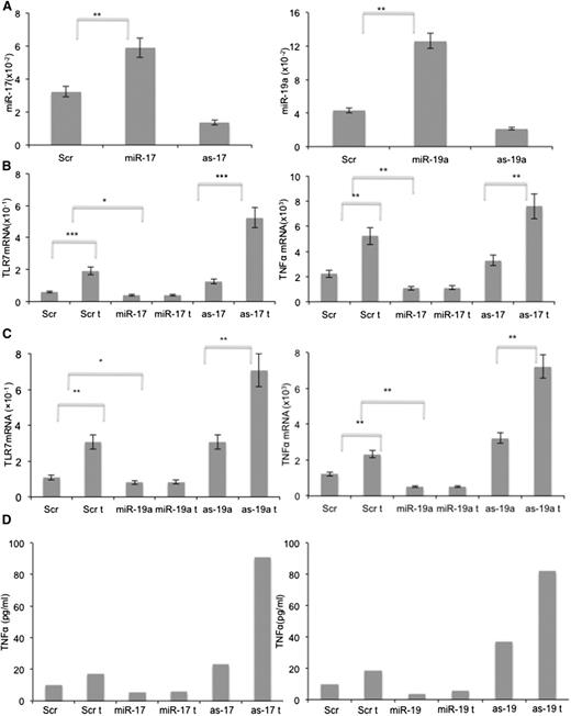 Figure 6. Downregulation of TLR7 and TNFA by miR-17-92. Splenic stromal cells were transfected with pGFP-C-lenti-miR-17, pGFP-C-lenti-miR-19a, pGFP-C-shlenti-antimiR-17, or pGFP-C-shlenti-antimiR-19 vectors and stimulated with medium or IFN-α (1000 U/ml) for 24 hours. TLR7 and TNFA expression were then measured by RT-PCR. (A) Quantification of miR-17 and miR-19a confirmed increased expression in transfected miR-17 and miR-19a cell lines and decreased expression in transfected as-miR-17 and as-miR-19a cells compared with control cells. (B) Increased miR-17 and (C) miR-19a levels inhibited IFN-α–mediated induction of TLR7 (B-C; left panels) and TNFA (B-C; right panels) mRNA, whereas the antisense inhibitors had opposite effects. The average and SD of the results of 3 independent measurements are shown. (D) TNF-α proteins in 24-hour culture supernatants were measured by enzyme-linked immunosorbent assay. *P < .05, **P < .01, ***P < .001.