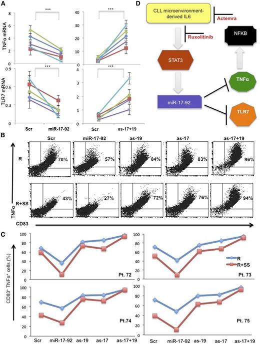 Figure 7. Effect of miR-17 and miR-19a on TLR7 responses in primary CLL cells. (A) CLL cells were infected with lentiviruses expressing a scrambled vector control, the miR-17-92 cluster or antisense miR-17 and miR-19a. TNFA (upper panels) and TLR7 (lower panels) were measured by RT-PCR after 12 hours. Results for 4 patient samples are shown and indicate suppression of TLR7 and TNFA expression by miR-17 and miR-19a in primary leukemia cells. (B-C) Infected cells were treated with resiquimod (1 μg/ml) and mTNF-α and CD83 expression determined by flow cytometry after 4 hours. Numbers in the right upper quadrants indicate percentages of mTNF-α+CD83+ cells (B). Results for 4 patient samples are shown (C). Overexpression of miR-17-92 mimics the tolerizing effect of stromal factors and blockade of miR-17, miR-19a, or both, restores the responsiveness to TLR7-agonists in the presence of stromal factors. (D) Schematic diagram showing the effect of IL-6 on TLR7 signaling in a leukemia microenvironment. ***P < .05.