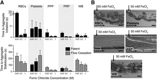 Figure 3. Proposed mechanism of FeCl3-induced thrombosis. (A) Aggregates of washed RBCs, washed platelets, PPP, PRP, and whole blood (WB) form in microfluidic channels at all concentrations ranging from 50 mM to 1 M. Time (in seconds) to initial adherence of blood components and stable aggregate formation (unchanging or complete occlusion) is shown, where complete channel occlusion is denoted by cross-hatched bars. (B) Representative images of blood component aggregates in nonendothelialized microfluidics are shown at 50 mM. The presence of sheet-like protein aggregates is clearly visible in PPP. All scale bars represent 50 μm; N = 5.