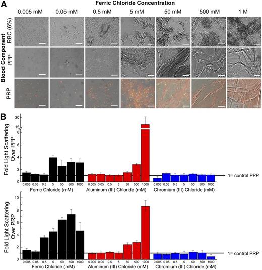 Figure 5. Flocculation activity of FeCl3. (A) The concentration-dependent ability of FeCl3 to aggregate blood components can be seen microscopically. At mid-range concentrations of FeCl3, amorphous iron hydroxide precipitates can be seen. Platelets (green: CD41); fibrinogen (red). (B) Light scattering of PRP (left) when exposed to a range of FeCl3, AlCl3, and CrCl3 concentrations. Values are expressed as fold increase over control PRP, where increased scatter corresponds to increased aggregation. Light scattering of PPP (right) exposed to a range of FeCl3, AlCl3, and CrCl3 concentrations. Values are expressed as fold increase over control PPP. All scale bars represent 50 μm; N = 3.