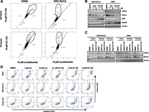 Figure 5. Differential activities of CC-122 in GCB-DLBCL compared with lenalidomide. (A) Effect of 10 μM lenalidomide exposure (log2 fold-change vs DMSO) plotted against 10 μM CC-122 exposure at 24 and 72 hours in TMD8 and WSU-DLCL2 cells. Key proteins (IKZF1, IKZF3) and proteins manifestly affected more by one compound than the other are displayed, along with r2 for linear regression. (B) DLBCL cells were treated with DMSO, lenalidomide (Len), or CC-122 for 72 hours. Cell lysates were separated by SDS-PAGE, and levels of Aiolos, Ikaros, IRF7, DDX58, and β-actin were assessed. (C) DLBCL cells were treated with DMSO, lenalidomide (10 μM), or CC-122 (10 μM) for 1, 6, or 12 hours. Cell lysates were separated by SDS-PAGE, and levels of Aiolos, Ikaros, and β-actin were assessed. (D) DLBCL cell lines were treated with DMSO, lenalidomide (1-10 μM), or CC-122 (0.1-10 μM) for 7 days, after which apoptosis was measured by Annexin V and To-Pro 3 flow cytometric analysis.
