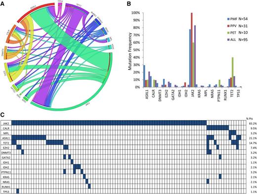 Figure 1. Frequency and distribution of mutations. (A) Circos plot showing the frequency of co-occurring mutations.11 Length of the arc corresponds to the frequency of mutations, whereas the width of the ribbons between 2 genes shows the frequency of co-occurrence. (B) Frequency of mutations by disease subtype. (C) Plot of mutations by case.