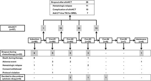 Figure 1. Flow diagram shows patient treatments and dropouts. The drugs and dosing used for induction and consolidation cycles are itemized in Table 1. Con, consolidation.