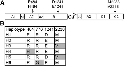 Figure 1. FVIII sequence variants encoded by F8 ns-SNPs and haplotypes. (A) Schematic illustration of the FVIII protein, which consists of domains A1, A2, B, A3, C1, and C2. The F8 regions a1, a2, and ap are short stretches of acidic residues. The locations of 3 ns-SNPs encoding amino acid variations found in African and African American populations are indicated. (B) FVIII variants corresponding to 6 human haplotypes found in whites (primarily H1 and H2) and African Americans (primarily H1-H5). Haplotype H6 was found in an Asian subject of an earlier study.13 Shaded boxes indicate amino acid variants (single-letter code) that are not present in currently available recombinant FVIII products).