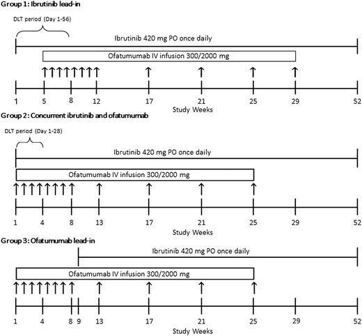 Figure 1. Treatment schema by group. Oral ibrutinib 420 mg was given once daily until disease progression or unacceptable toxicity. Intravenous ofatumumab was given as 8 weekly infusions followed by 4 monthly infusions for a total of 12 doses (dose 1, 300 mg; doses 2-12, 2000 mg). Group 1, ibrutinib monotherapy during cycle 1 and then ofatumumab added starting cycle 2; group 2, ofatumumab and ibrutinib starting on days 1 and 2 of cycle 1, respectively; group 3, ofatumumab monotherapy for the first 2 cycles and then ibrutinib added starting at cycle 3.