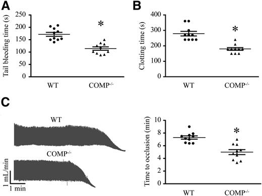 Figure 1. Hemostasis and thrombosis in WT and COMP−/− mice. (A) Tail-bleeding time in WT and COMP−/− mice. n = 10, *P < .05. (B) Blood clotting time in WT and COMP−/− mice. n = 10, * P < .05. (C) Representative Doppler echocardiogram of the blood flow rate in mouse right carotid arteries following FeCl3 injury (left). The time when the flow rate was reduced to 0 mL/min was considered as the complete occlusion time. Statistic results of the right carotid artery complete occlusion time (right). n = 10, *P < .05.