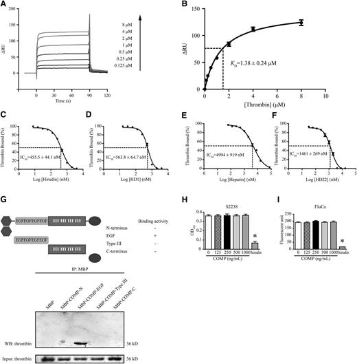 Figure 3. Direct interaction between COMP and thrombin. (A) Representative surface plasmon resonance analysis of different concentrations of thrombin injected through a biosensor chip conjugated with COMP. The altered response unit (ΔRU) is recorded in real time after perfusion. (B) The best fitting of plot data in thrombin concentrations and their corresponding ΔRUs yields a KD of 1.38 ± 0.24 μM for thrombin based on a 1:1 Langmuir model (n = 3). Thrombin (1 μM) in the presence of hirudin (C), HD1 (D), heparin (E), and HD22 (F) at different concentrations was injected over a COMP-linked biosensor chip. The percentage of ΔRU to the ΔRU in thrombin (1 μM) injection alone (thrombin bound) regressed according to the concentration of hirudin, HD1, heparin, or HD22 (n = 3). Concentrations corresponding to 50% of thrombin bound are the IC50. (G) Western blot of protein fractions precipitated with amylase beads from a mixture of thrombin (3 μg) and different purified MBP-fused COMP protein fragments. Fractions before precipitation were applied as input for loading control. Thrombin (0.1 U/mL)-cleaved chromogenic substrate S2238 (50 μM) (H) and fluorogenic substrate FluCa (2.5 mM) (I) were measured with absorbance at 405 nm and fluorescence intensity (excitation, 390 nm; emission, 460 nm), respectively. Hirudin (0.1 mg/mL) was applied as a positive control. n = 3, *P < .05 vs 0 ng/mL. IP, immunoprecipitation; OD405, optical density at 405 nm; WB, western blot.