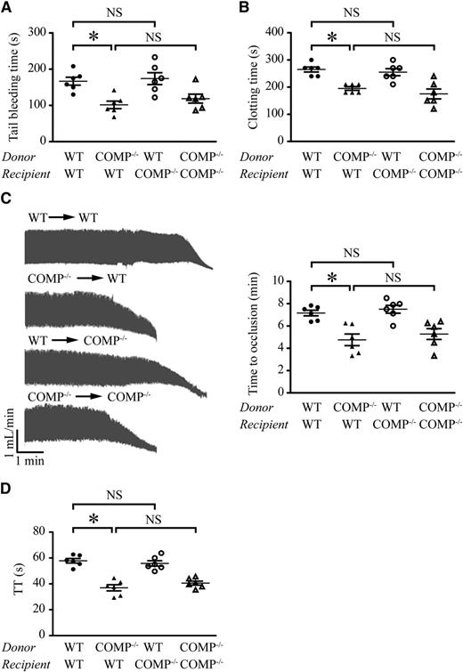 Figure 4. Bone marrow– or non–bone marrow–derived COMP in hemostasis and thrombosis. Chimeric mice were created by WT or COMP−/− (recipients) mice crosstransplanted with bone marrow from WT or COMP−/− mice (donors). (A-C) Tail-bleeding time (A), blood clotting time (B), and carotid artery occlusion time following FeCl3 injury (C) in chimeric mice. (D) TT was measured in the platelet-free plasma isolated from chimeric mice. n = 6 for each group. *P < .05; BM, bone marrow; NS, not significant.